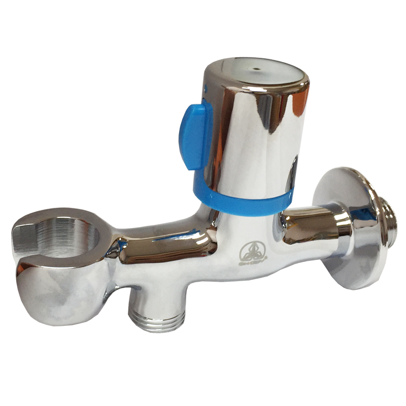 Linear Bib Tap with Shower Holder 1937-210 Showy