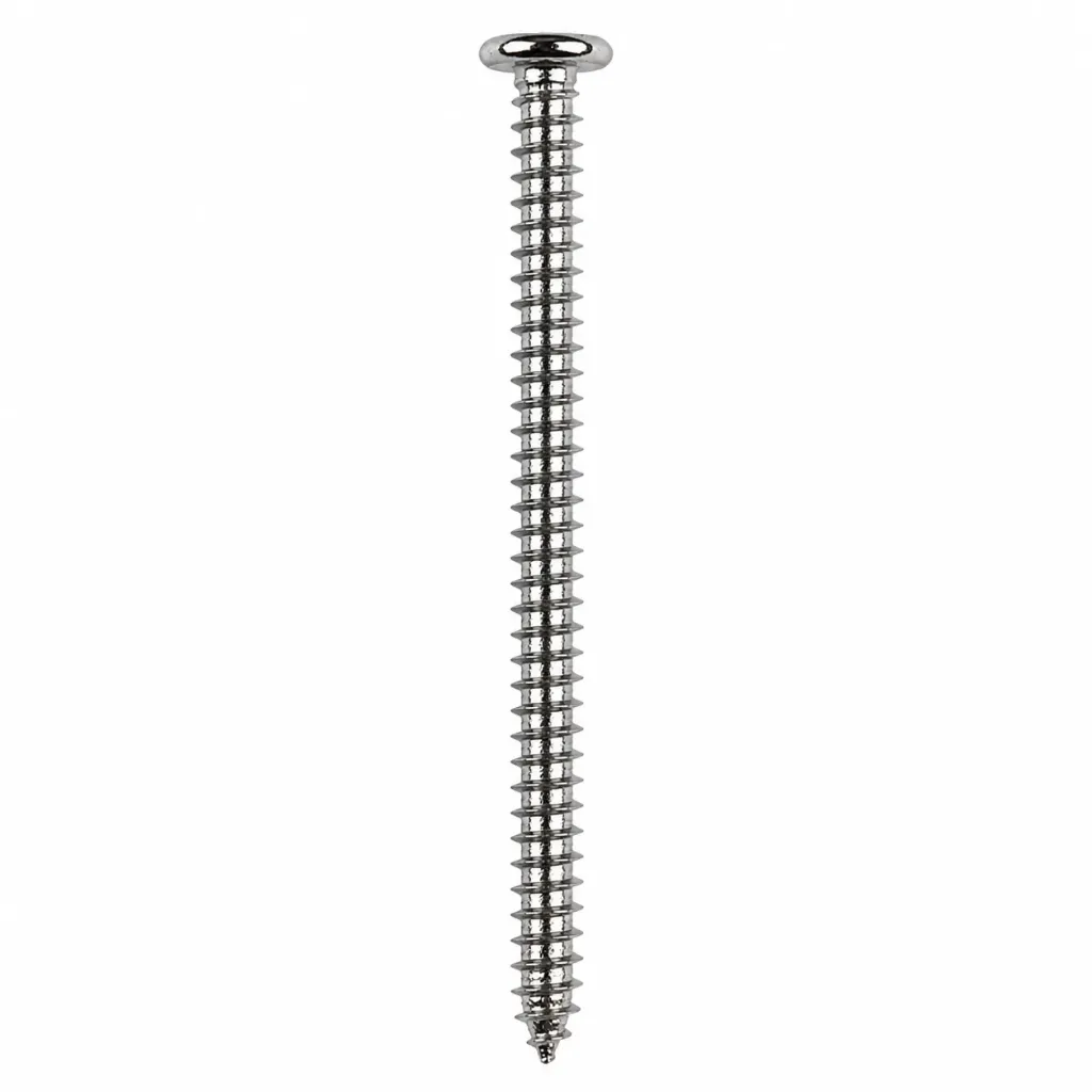 [2009] Self Tapping Screw AB CKT JF #10x3"