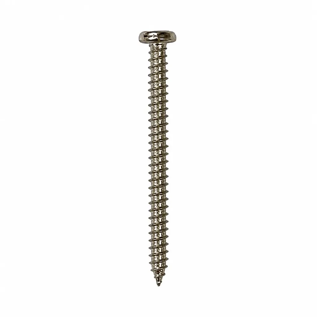 Self Tapping Screw PH #6x2"