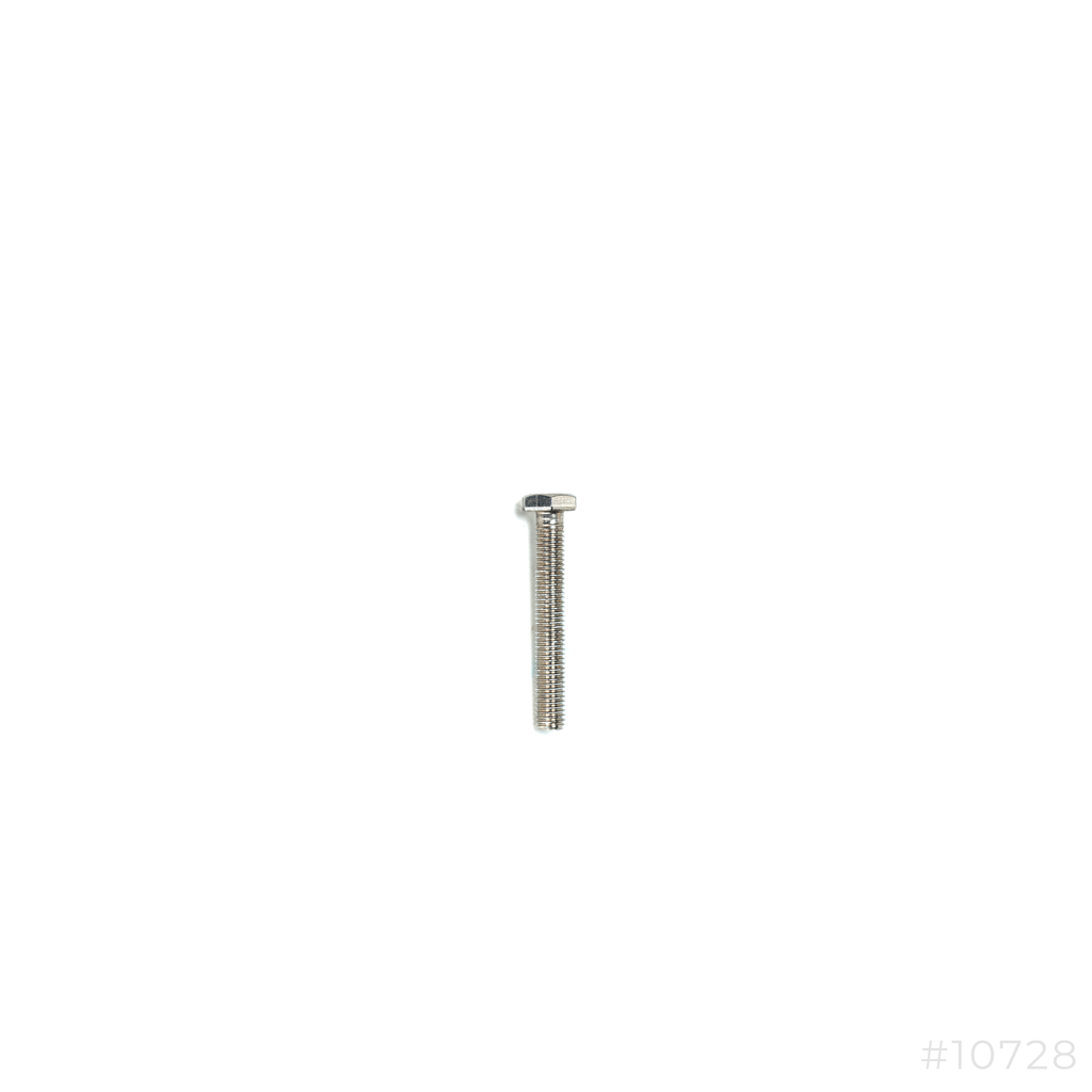 SS Bolt 10x70mm