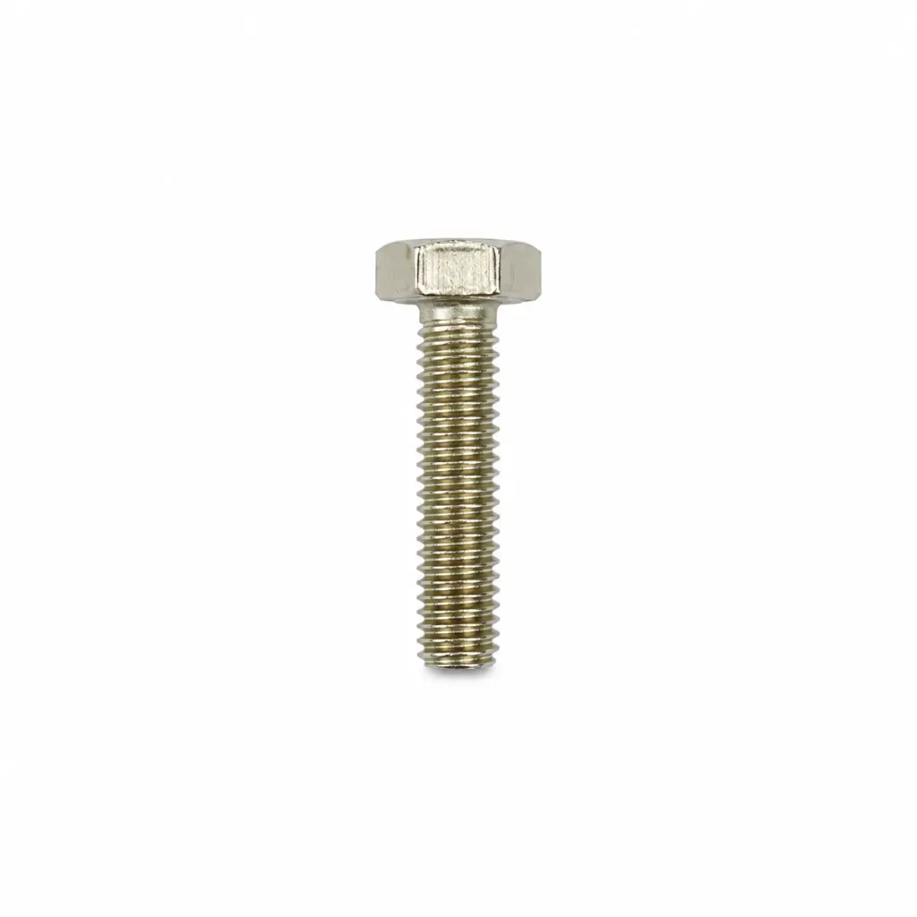 SS Bolt 12x50mm