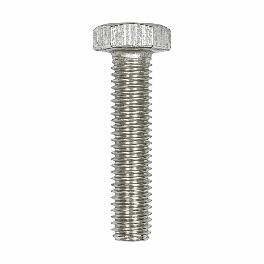 SS Bolt 12x60mm