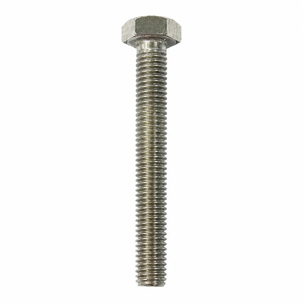 SS Bolt 12x100mm