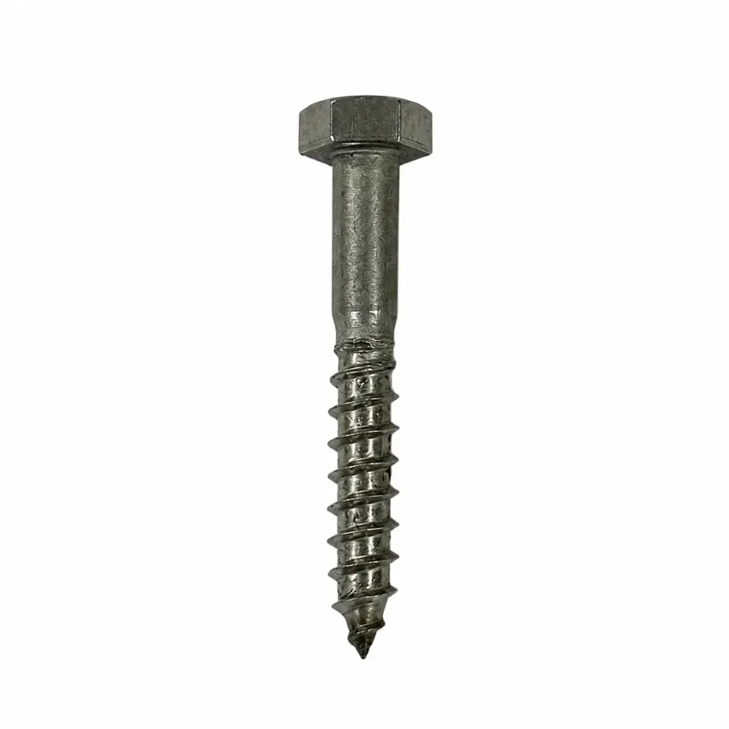 SS Coach Screw No.6 x 40mm