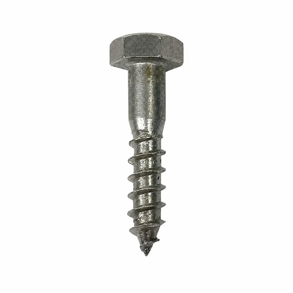 SS Coach Screw No.10 x 50mm