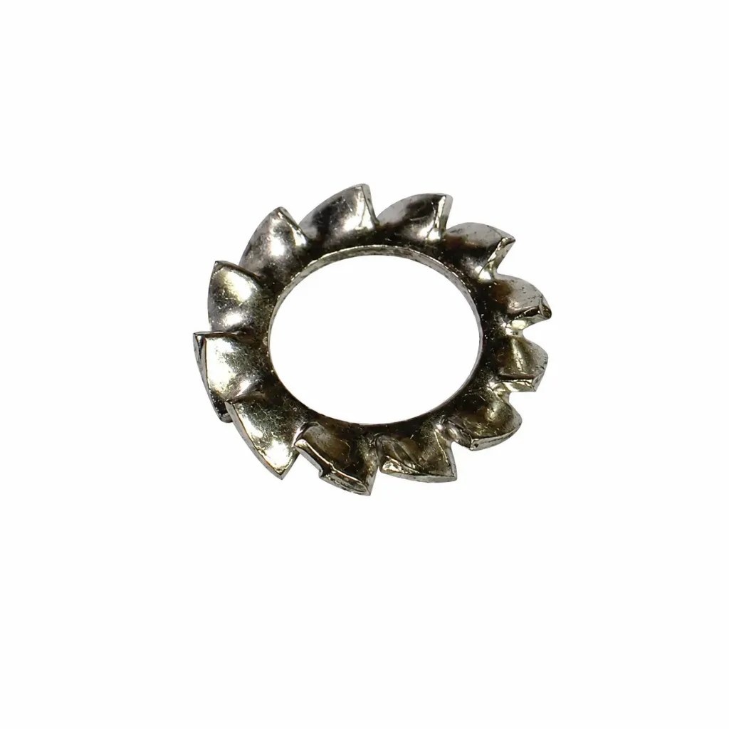SS External Star Washer 6mm