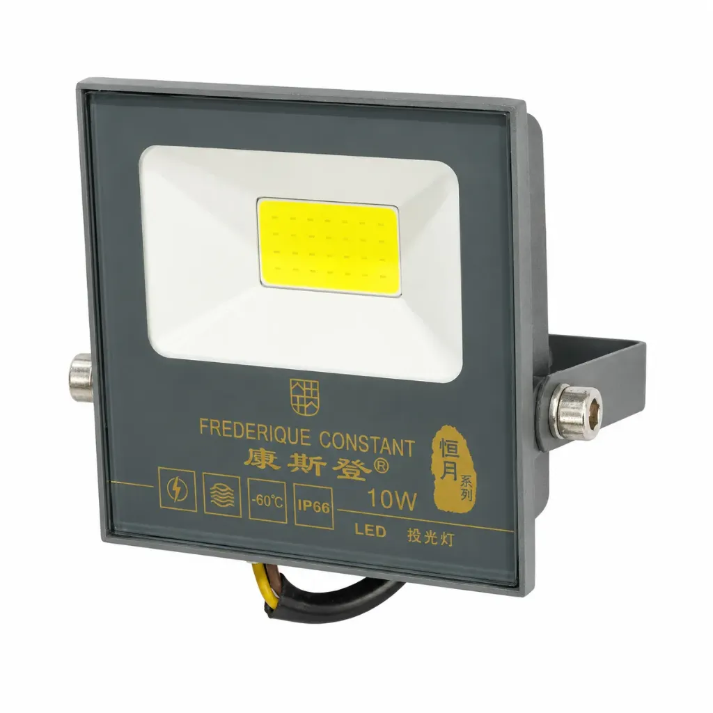 Led Flood Light 10w Day Light IP66