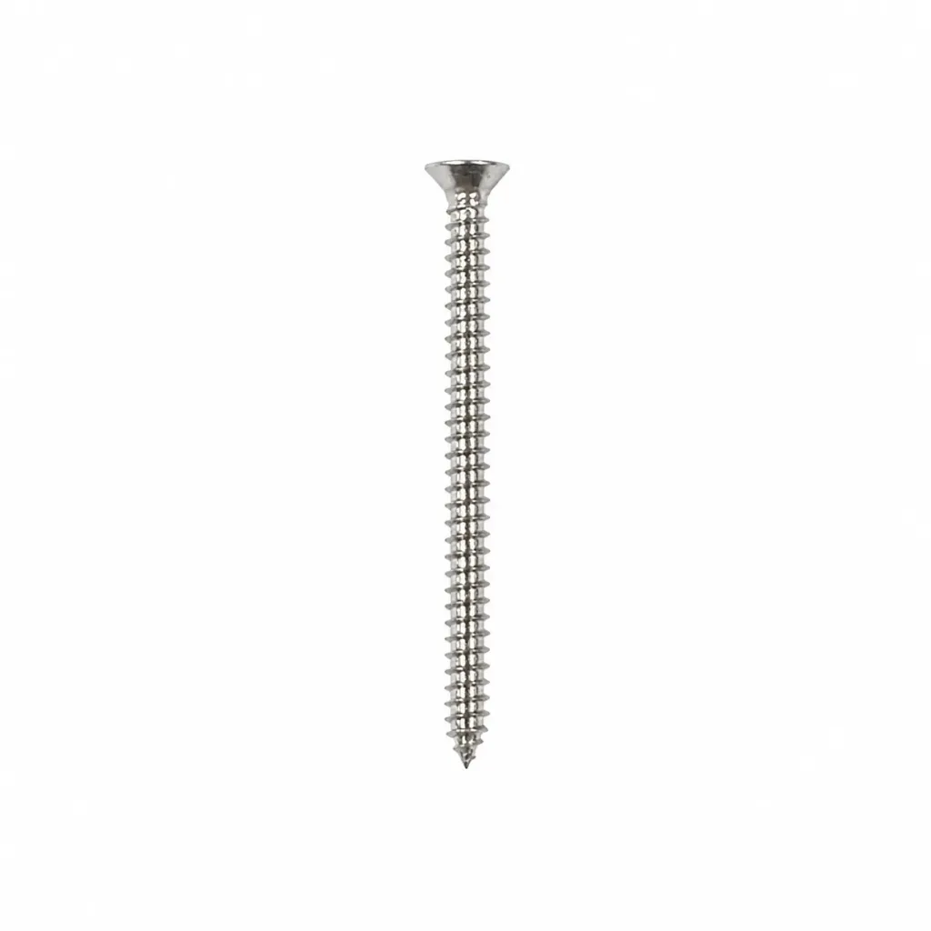 Self Tapping Screw SS CSK #6x2"