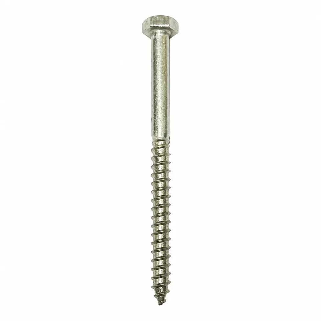 SS Coach Screw No.10 x 180mm