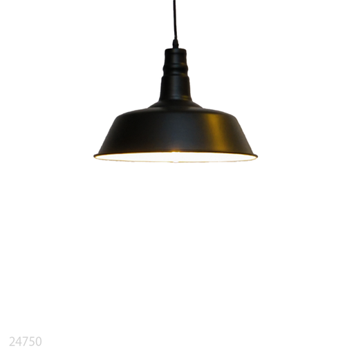 [24750] Hanging Pendant Light JJ-6235